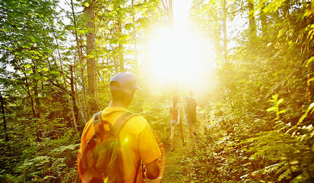 istanbul personel gezileri